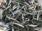 Preview: Bai Mu Dan - Weiße Päonie