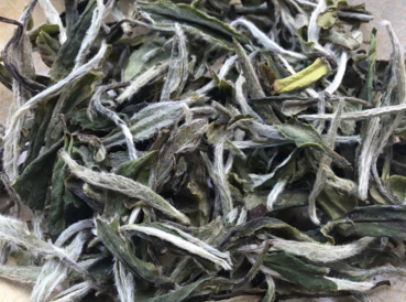 Bai Mu Dan - Weiße Päonie - Premium