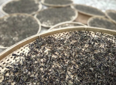 Bai Mu Dan - Weiße Päonie - 2020