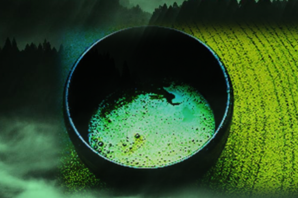 Emerald Forest Kirishima Matcha Supreme Bio - 2023