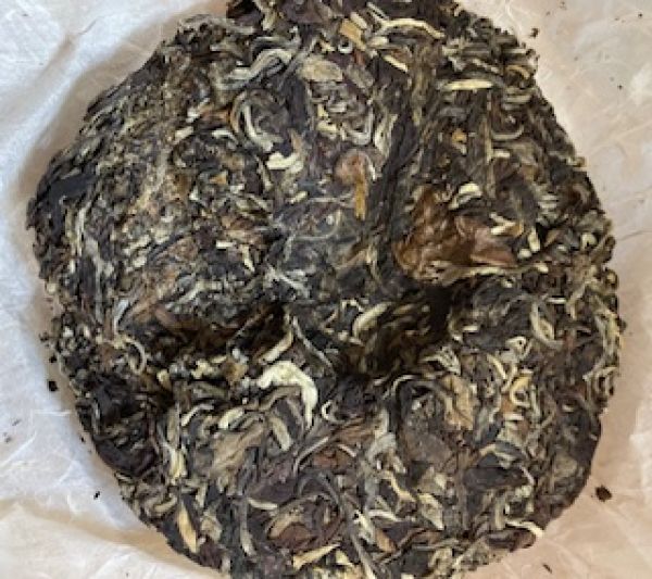 Bai Mu Dan - Bing 2020 (Abbruch)