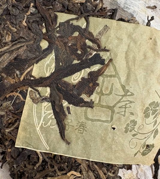 Wild Arbor Bing Cha (Yiwu) 2008