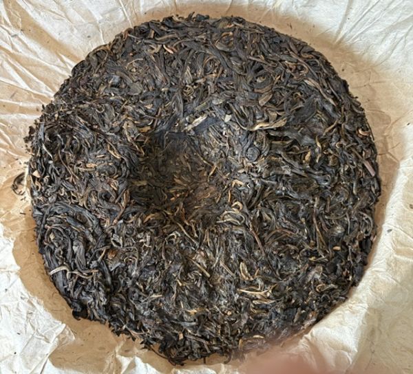 Da Xue Shan Gu Shu Bing 2006