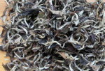 Bai Mu Dan - Weiße Päonie - 2019